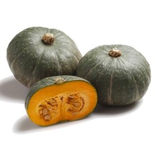 Semi zucca mantovana - di,