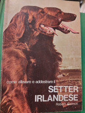 Gannon Setter irlandese 63