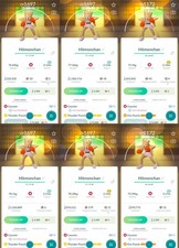 Hitmonchan XXL 2.12 - 2.17 m |