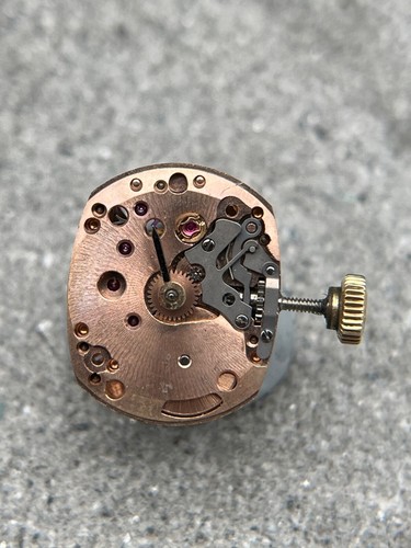 1171 movimento omega - #1171,