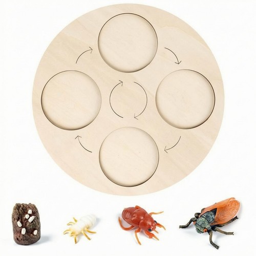 Gioco educativo ciclo - gioco,