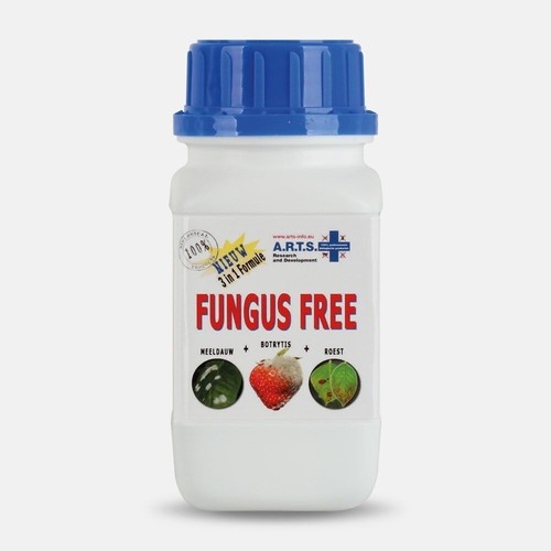 Senza funghi s - -, a.r.t.s.