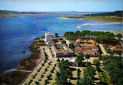 Postcard spain galicia grove - spain, o