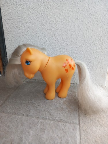 Little pony italian mio - little,
