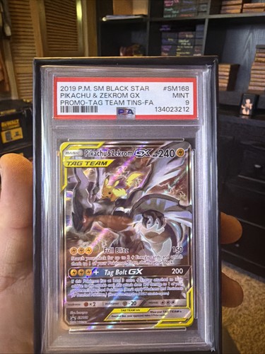 Pokémon pikachu zekrom gx - pokémon,