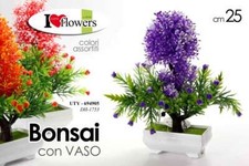 BONSAI 25 cm PIANTA PIANTINA