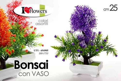 Bonsai pianta piantina - 25,