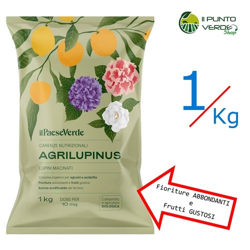 Lupini macinati kg - lupini,