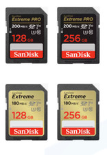 Scheda SD SanDisk Ultra