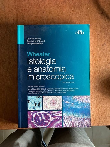 Wheater istologia e - wheater,