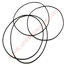 Giunto Camicia Motore Peugeot