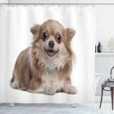 Chihuahua Tenda Della Doccia