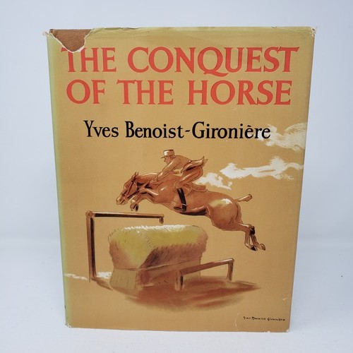 The conquest horse yves - conquest,