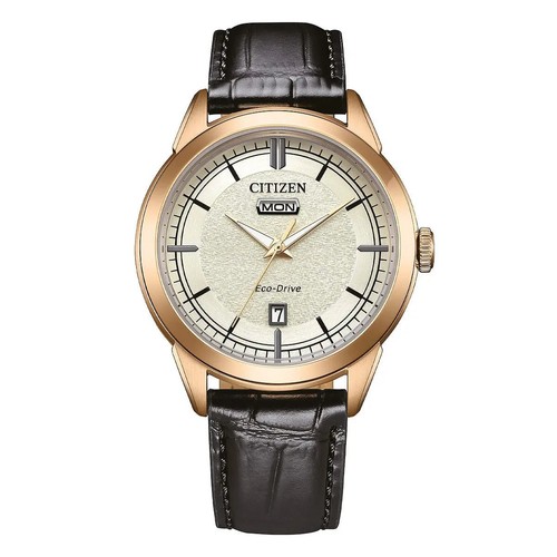 Citizen aw0153 04a - aw0153-04a, date