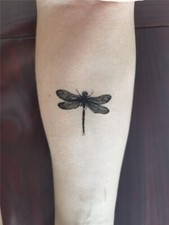 5X Adesivo Tatuaggio