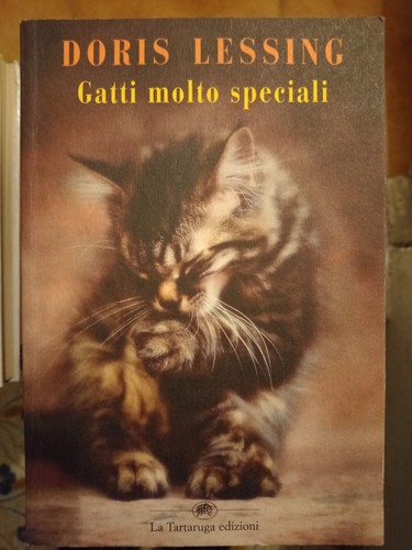 Gatti molto speciali - gatti,
