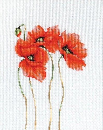 Poppies b2224l luca - poppies, luca-s