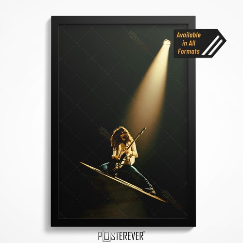Poster fotografico concerto