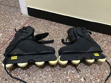 Pattini a rotelle 39