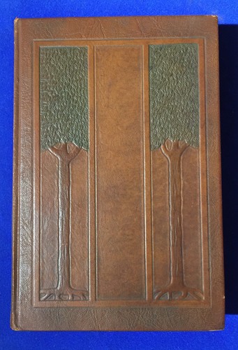 Raro 1908 libro jules - raro,