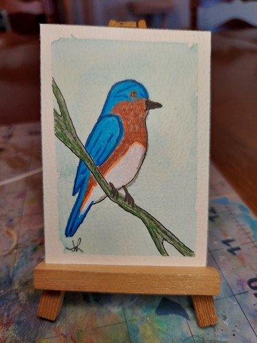 Aceo cartolina originale - aceo,