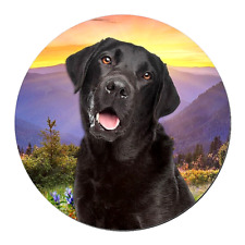 BLACK LABRADOR DOG Large