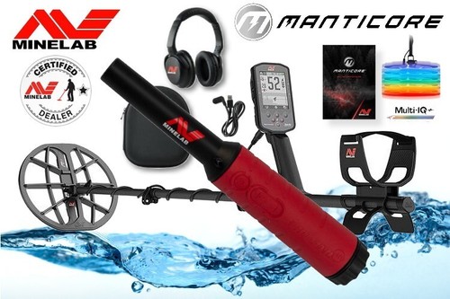 Metal detector minelab - metal,