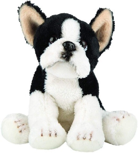 Suki 12138 boston terrier cane - boston,