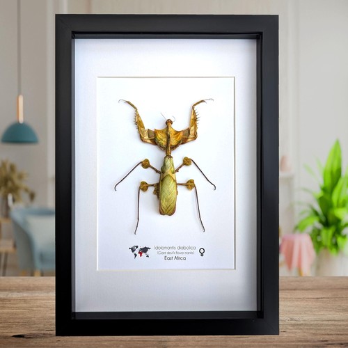 Framed giant devil - framed,