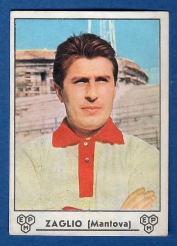 Figurina calciatori panini - figurina,