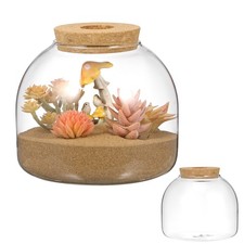 Vaso per terrario in con tappo in legno Terrario per piante idroponiche