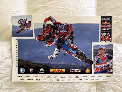 Dylan ferrandis 2026 - dylan, bull