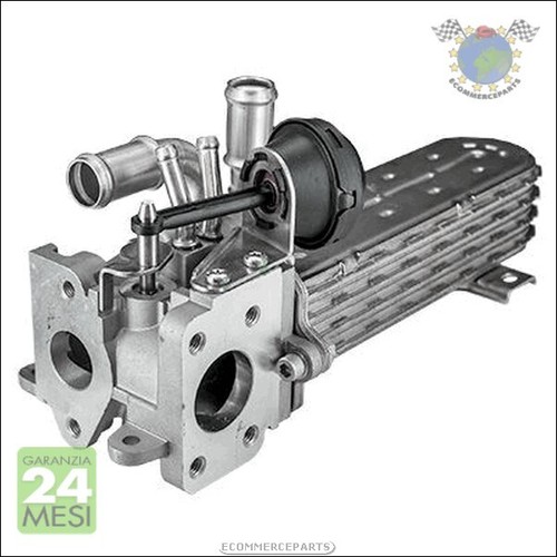 Scambiatore valvola egr - scambiatore,