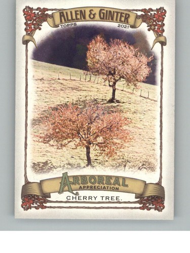 2021 topps allen ginter - allen, &