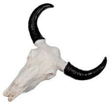 Teschio Mucca Da Parete