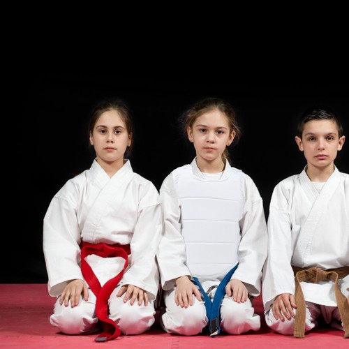 1pz armatura protettiva karate - 1pz,
