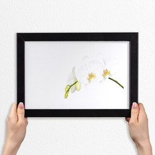 Arte da parete con cornice in