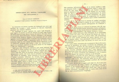Osservazioni sul sistema