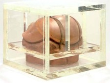 FERNANDEZ ARMAN 1969 OPERA