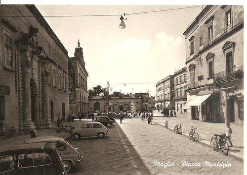 Maglie piazza municipio - ,