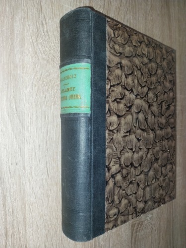 Spalteholz his - his,