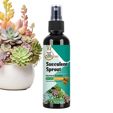 Concime succulento per cactus