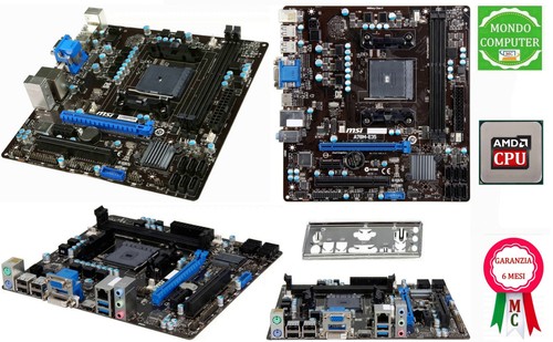 Scheda madre socket - scheda, msi