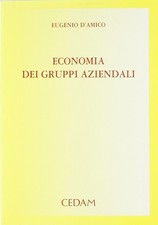 Economia dei gruppi aziendali