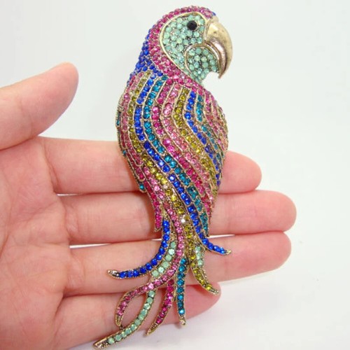 Spilla pappagallo strass