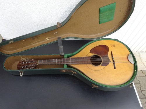 Mandola herwiga solist - herwiga,