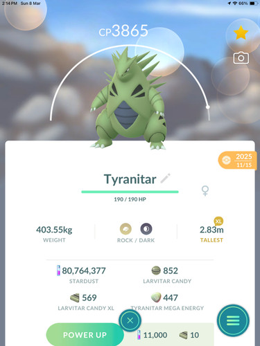 Pokemon tyranitar level40 - level40, go