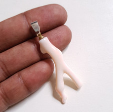 Bello Bianco Giapponese Mare