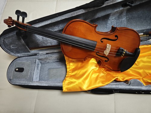 Violino mai usato solo - mai,
