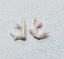 Ramo di corallo bianco 100%